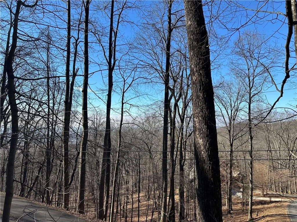 Photo of Lt1535 Moss Patch Trail