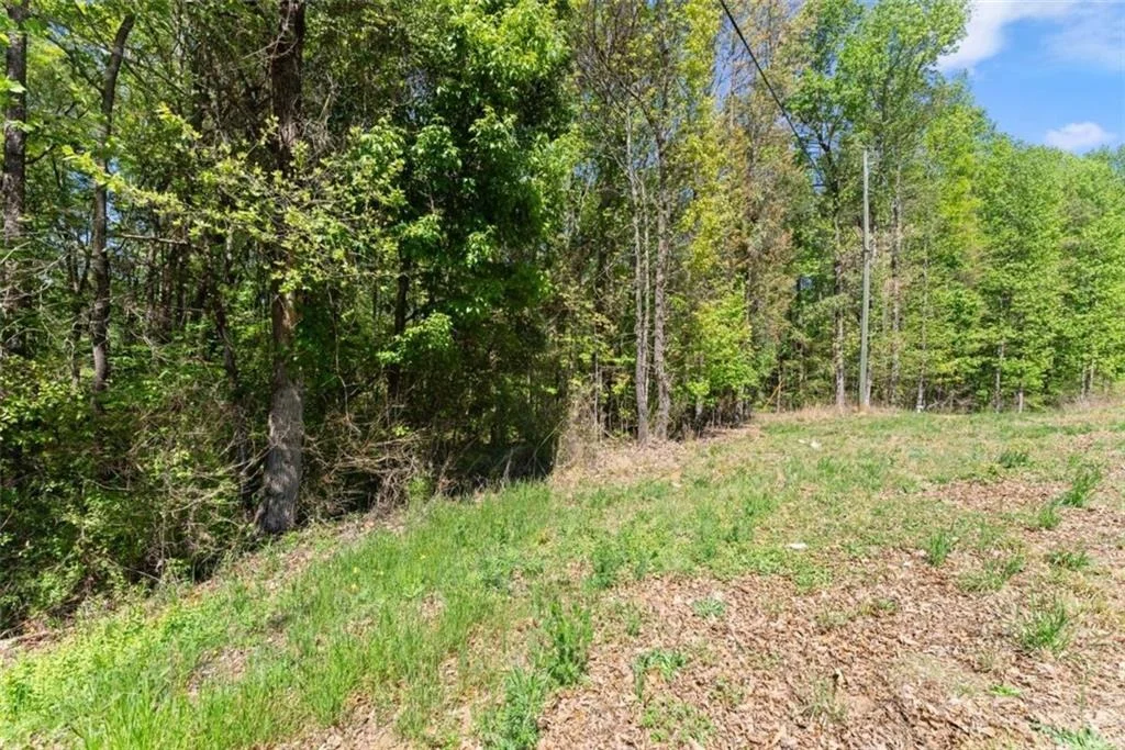 Photo of 4346 Woods Bridge Road