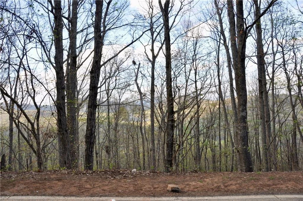 Photo of 8259 Cox Mountain Drive
