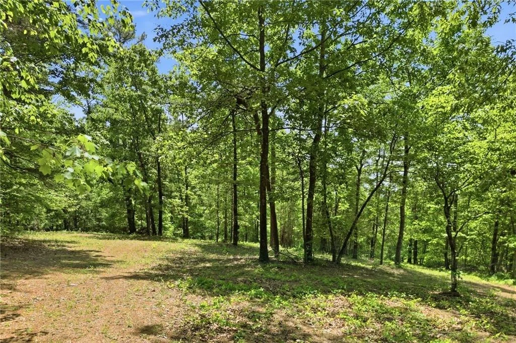 Photo of 1709 Harrington Road