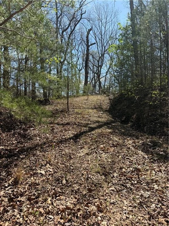 Photo of 161 Sharp Mountain Parkway