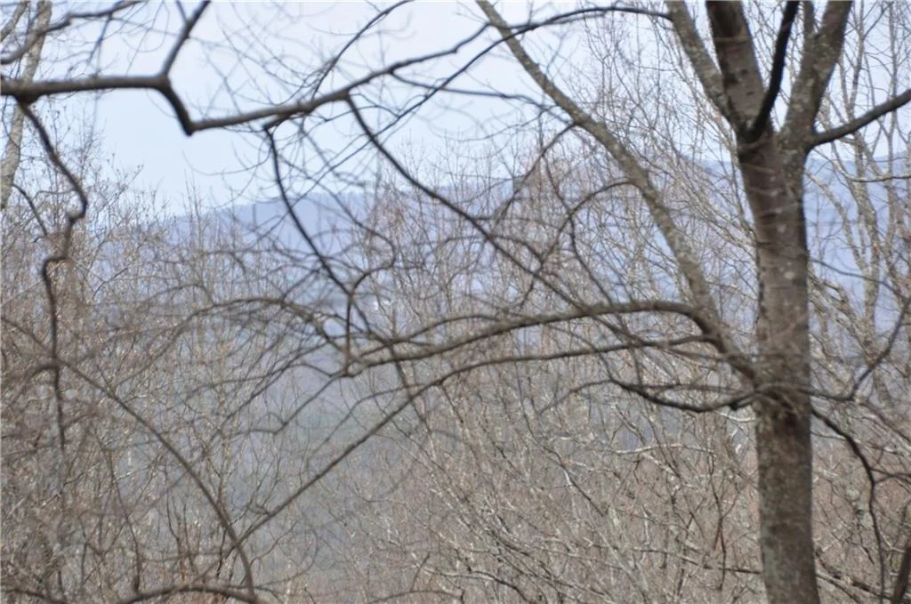 Photo of 3012 Wild Turkey Bluff