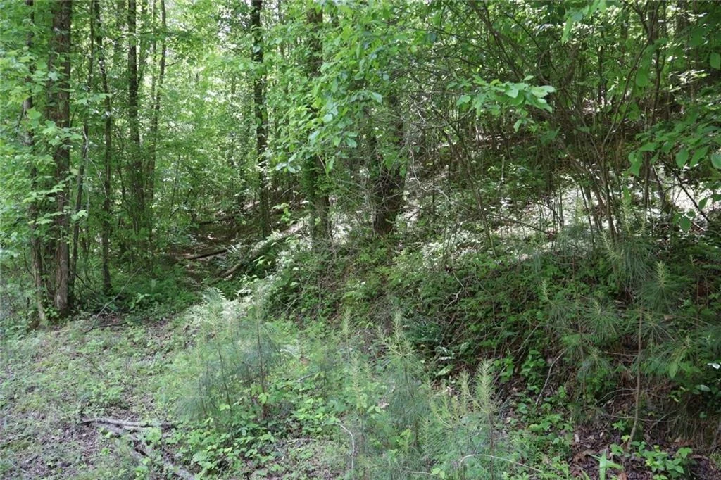 Photo of 0 Parksbrook Road A