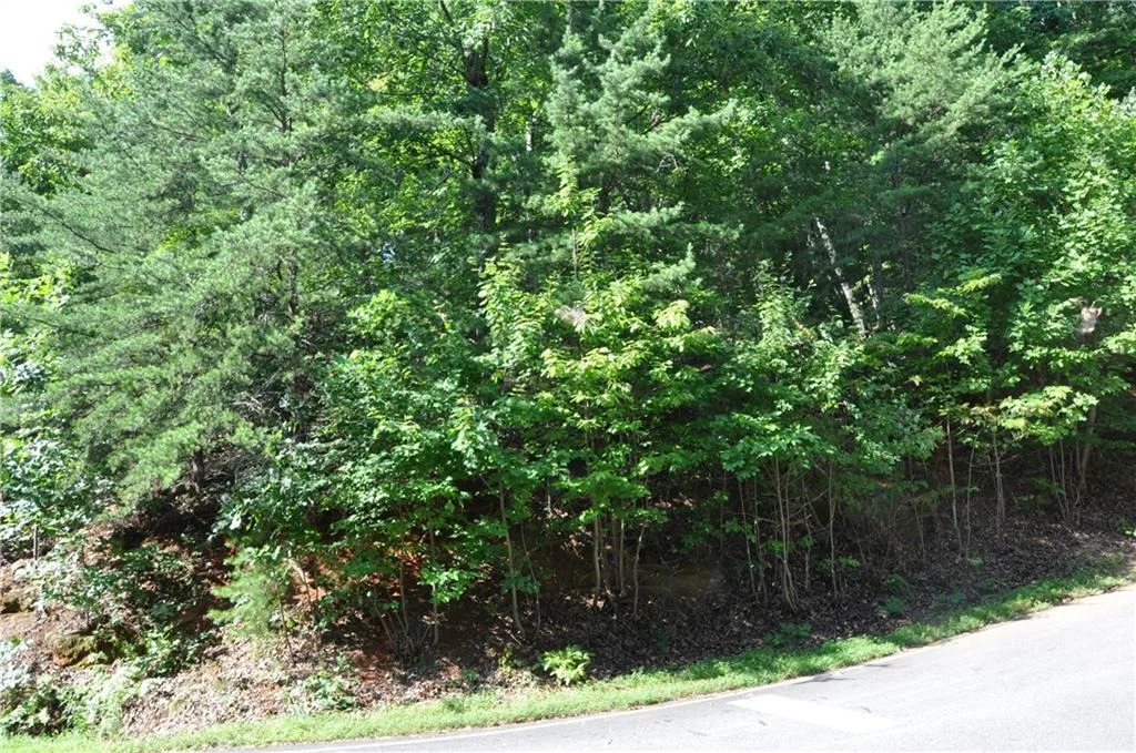 Photo of 8261 Cox Mountain Drive