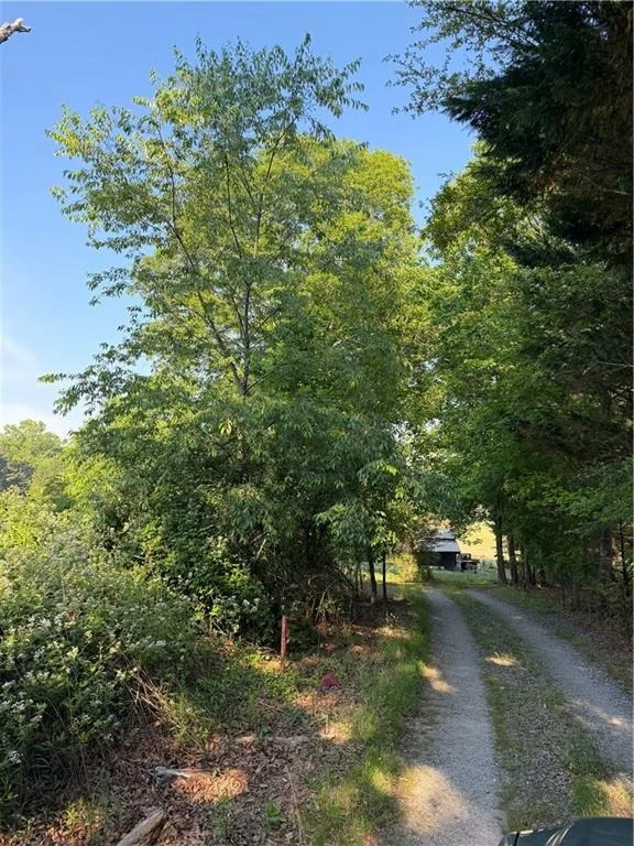 Photo of 0 Mountain Road
