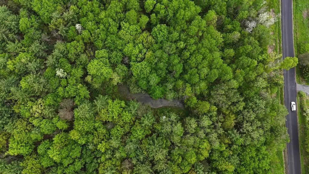 Photo of 5 Collins Hill Road