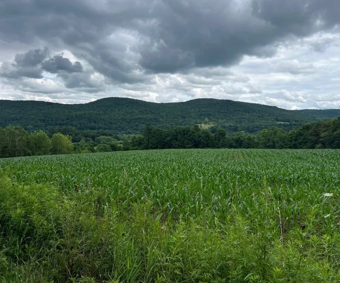 Photo of 267 State Route 79 Route