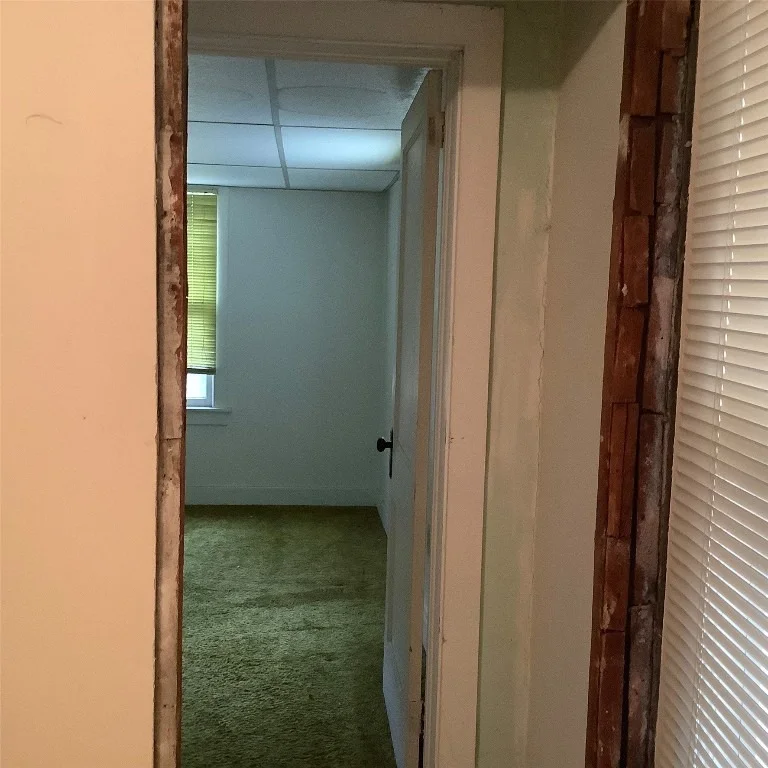 Photo of 47 Schubert Street