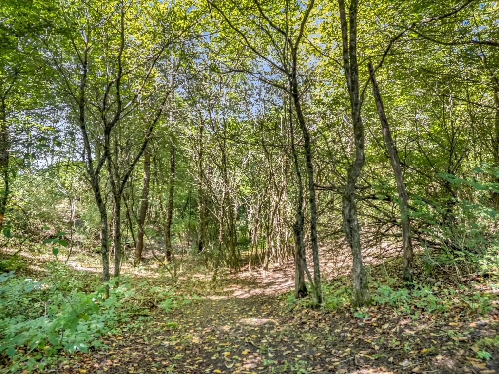 Photo of 1725 County Road 32