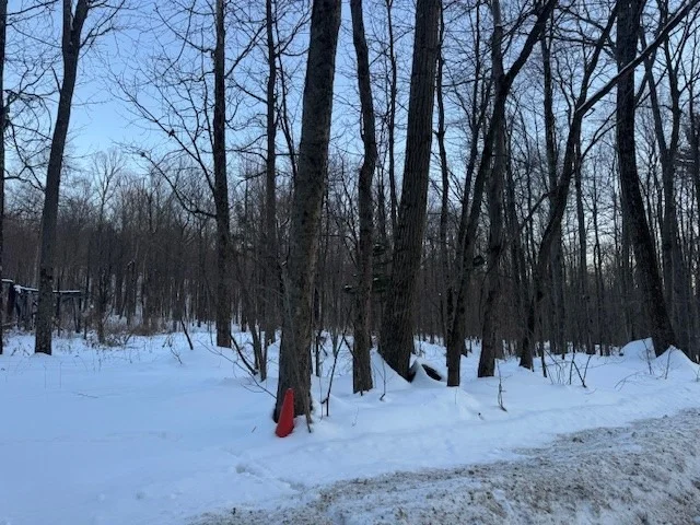 Photo of 184 Hoadley Hill  Road
