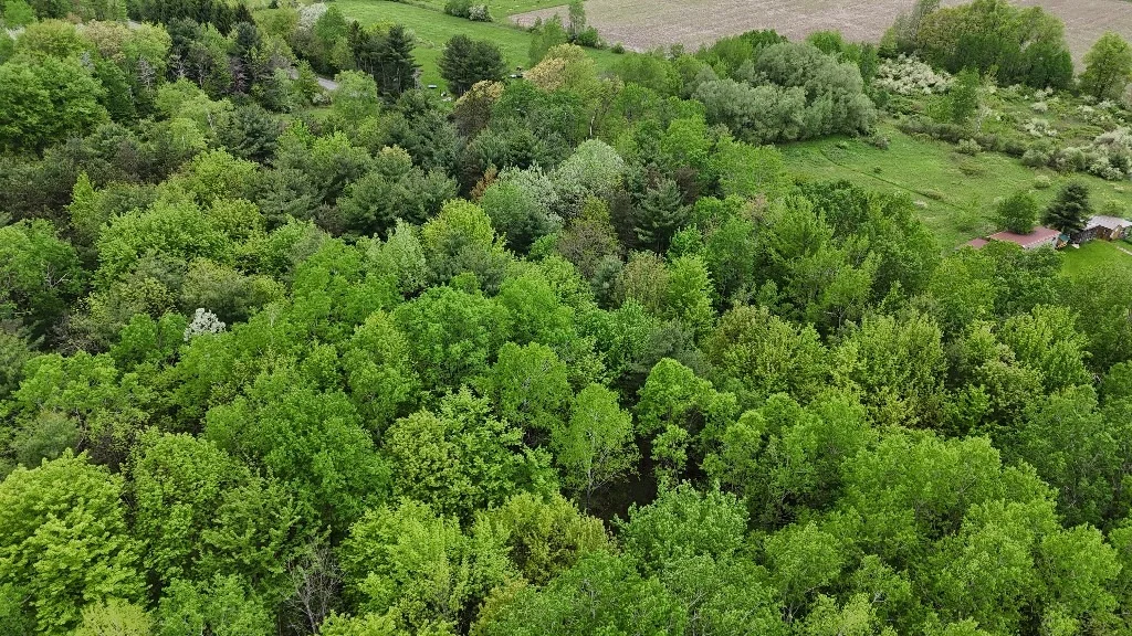 Photo of 5 Collins Hill Road