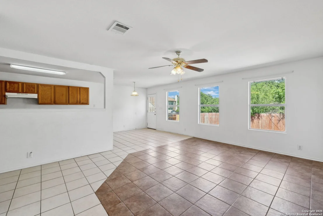 Photo of 284 Texas Mulberry