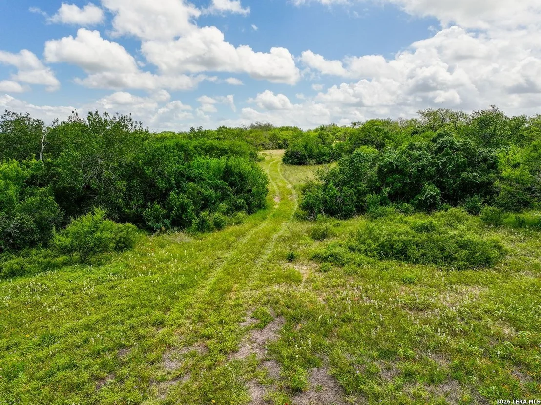 Photo of 237 County Road 393