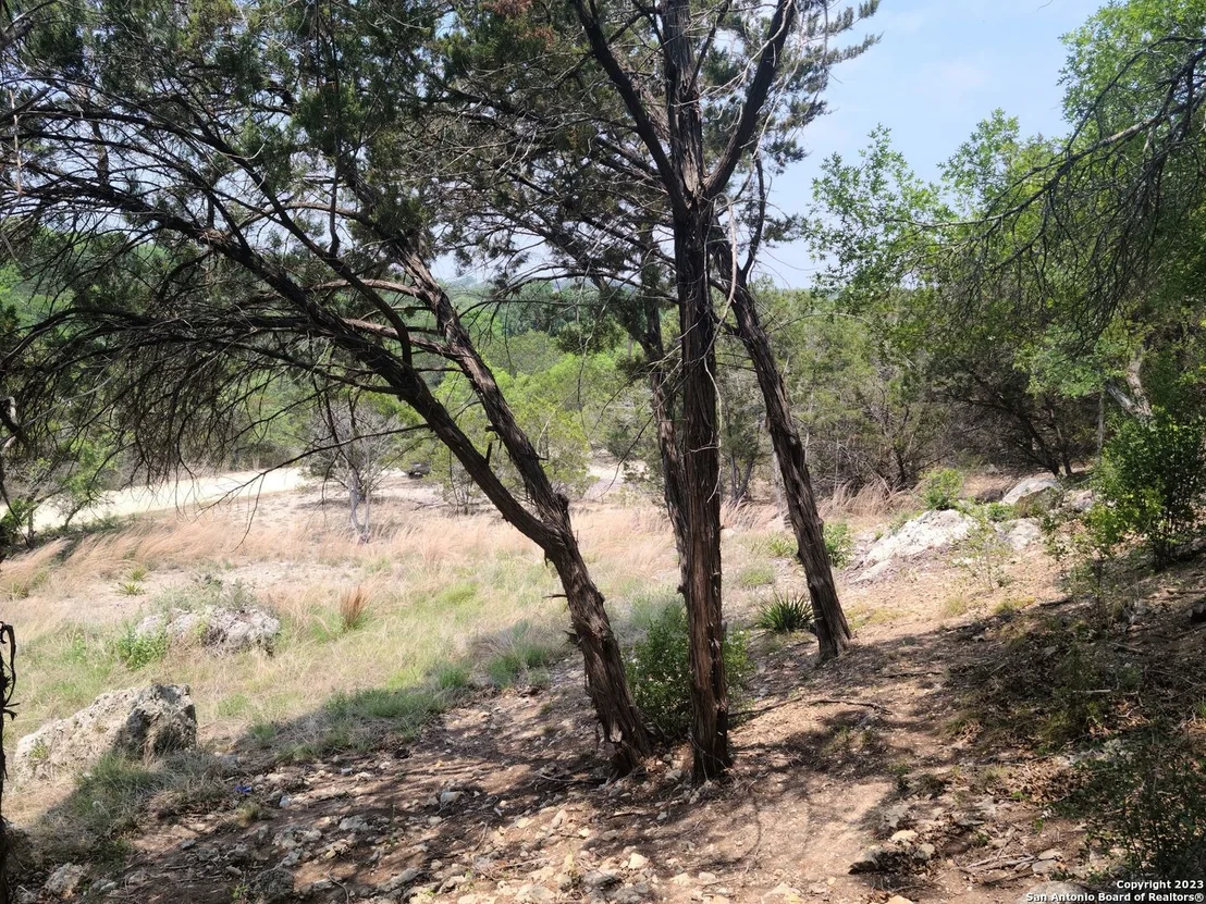 Photo of 3332 CONTOUR DR