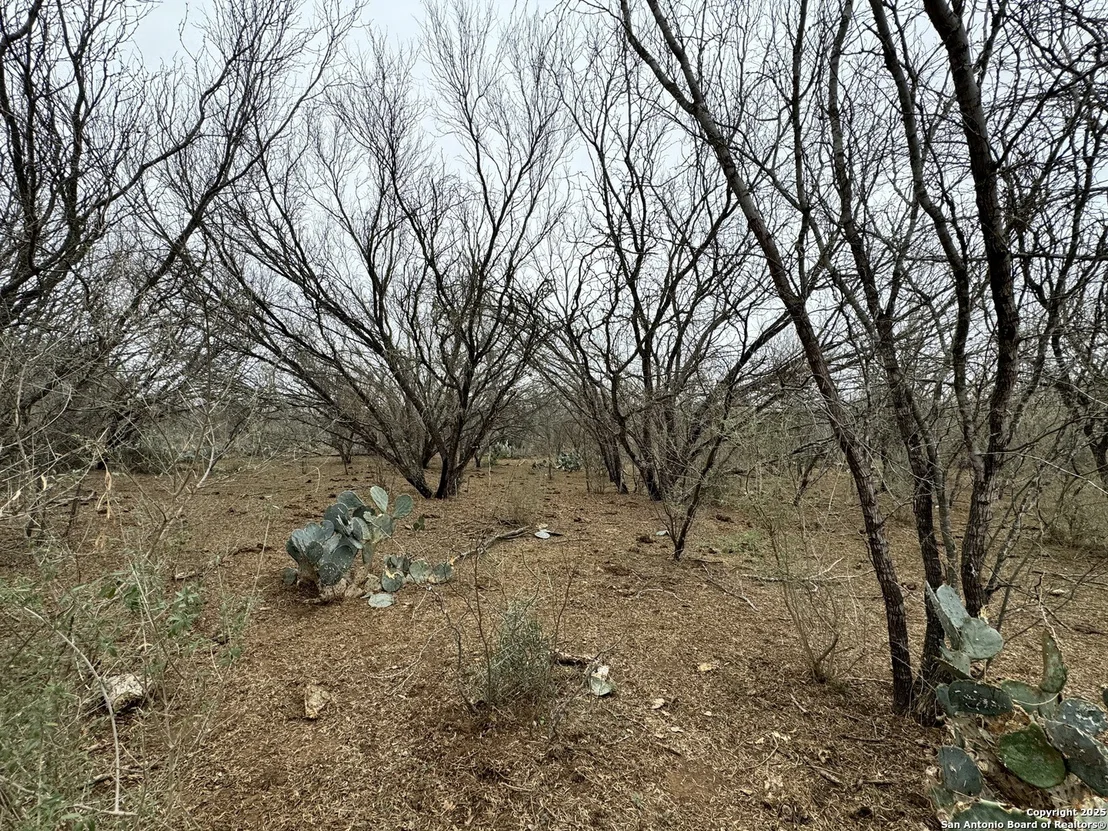 Photo of 3075 County Road 5710