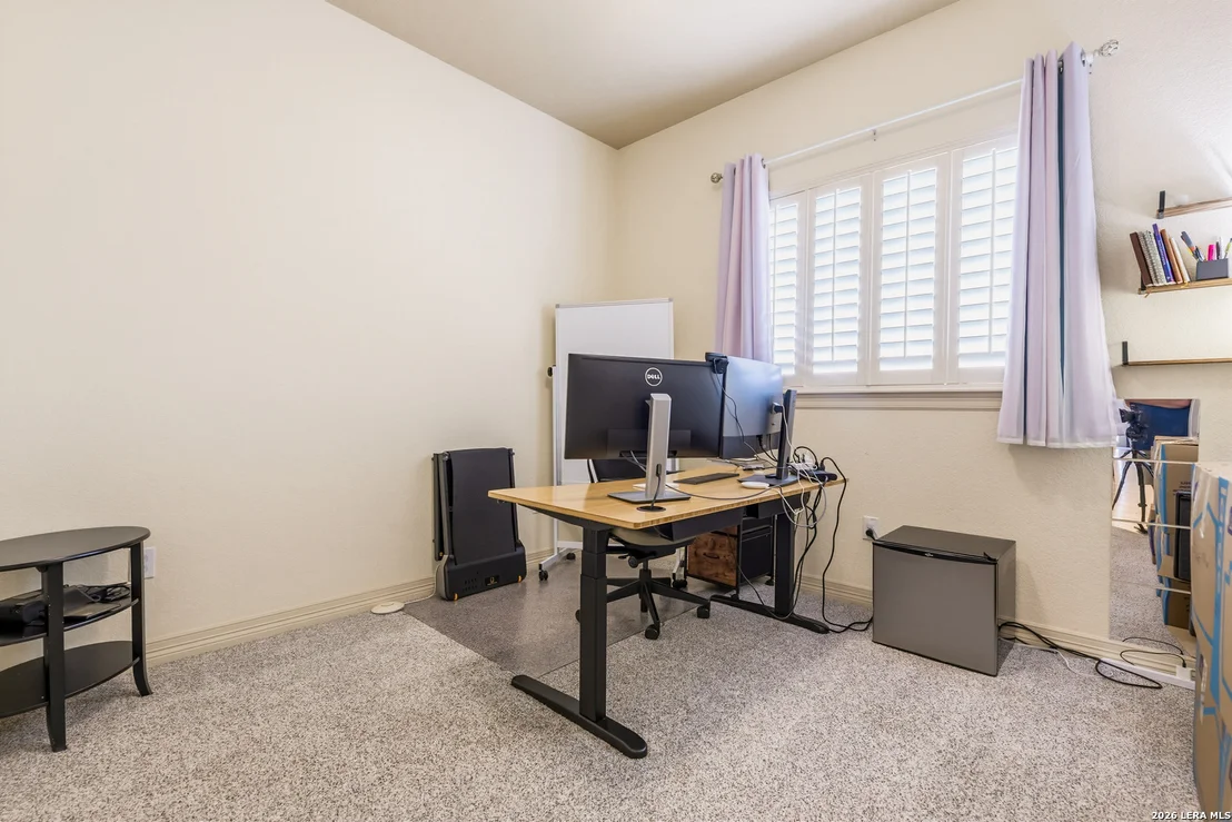 Photo of 25310 Wild Sage