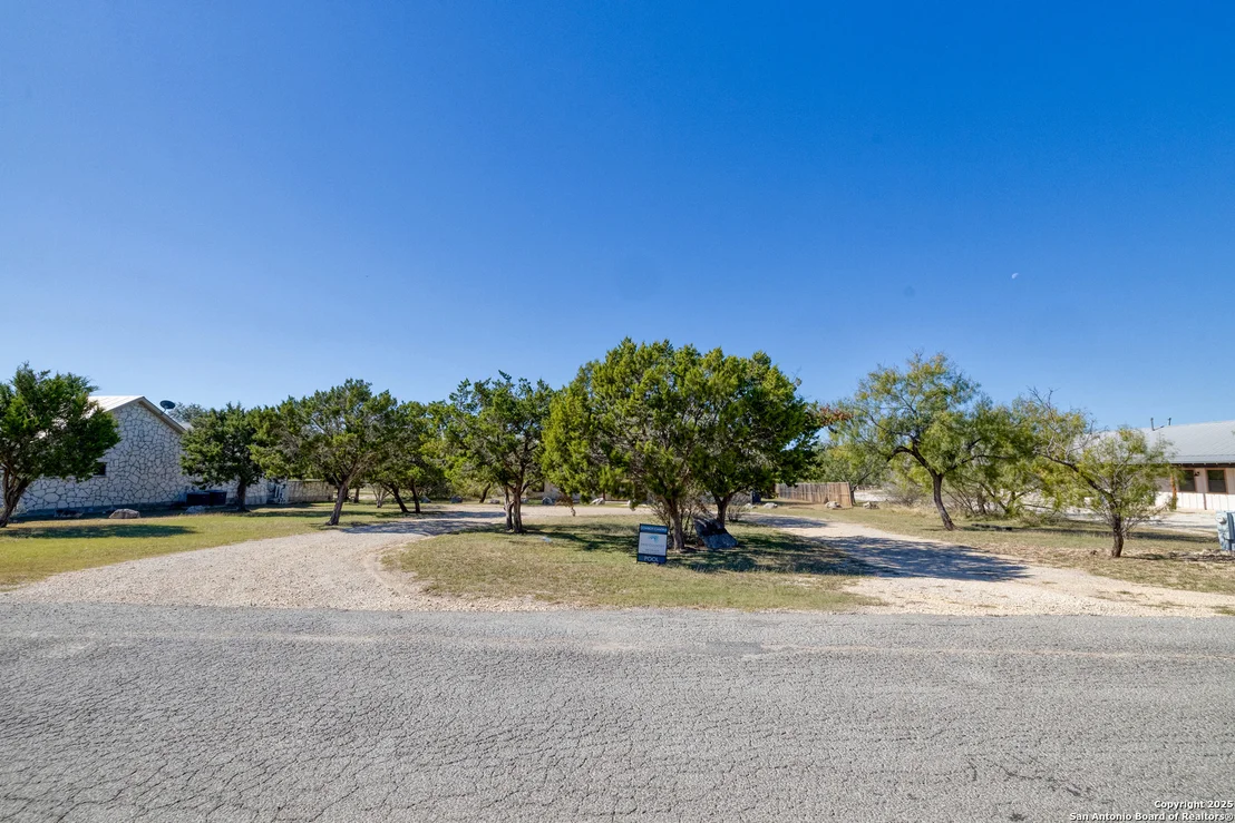 Photo of 38 mountain laurel