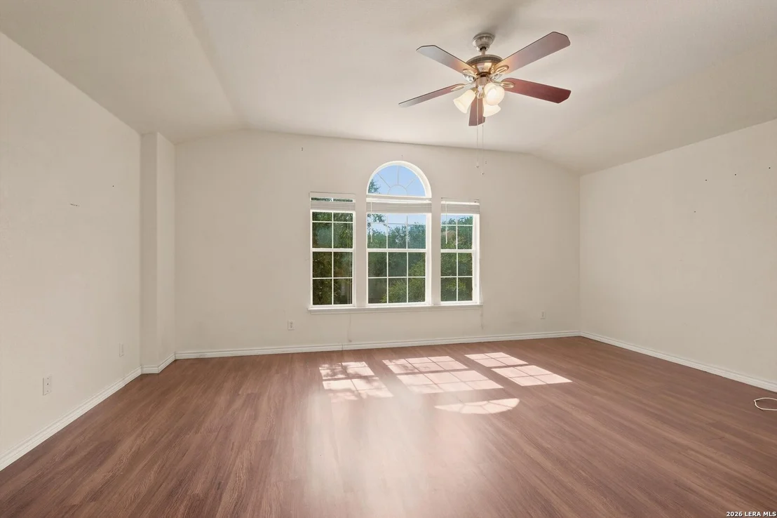 Photo of 802 Celosia