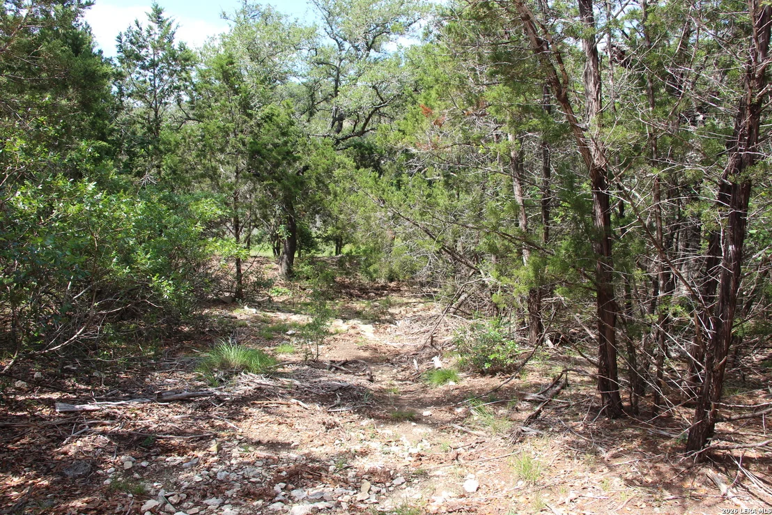 Photo of LOT 52 Clear Water Cyn