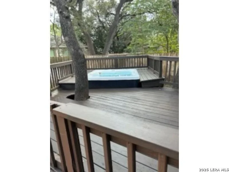 Photo of 16503 Fancy Saddle