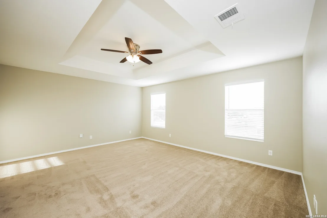 Photo of 122 Blue Juniper