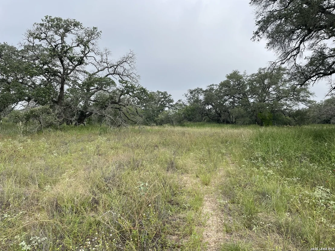 Photo of TRACT#8 12.31A County Road 777