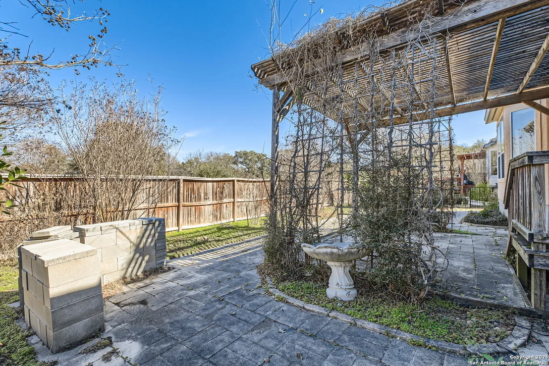 Photo of 12742 Texas Thistle