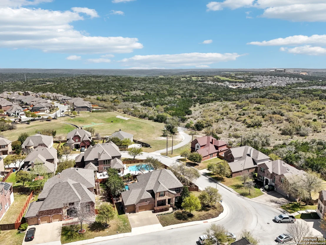 Photo of 25612 Santolina