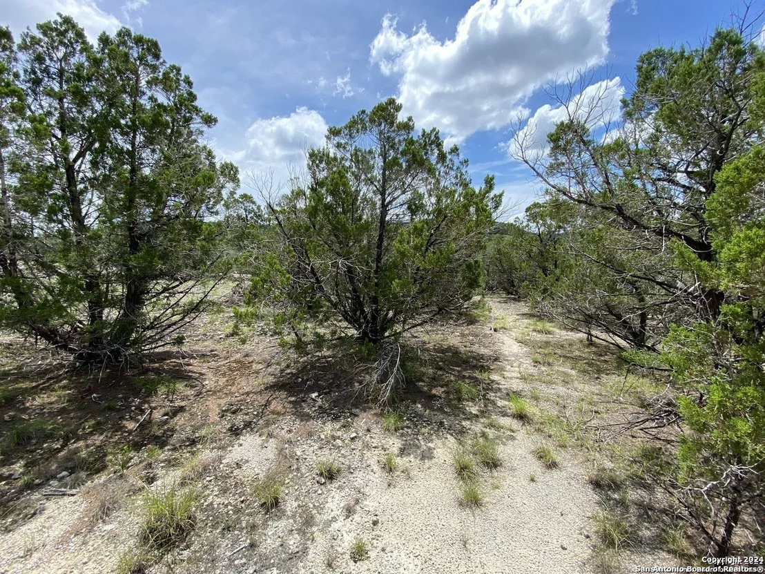 Photo of 391 PR 1748 Lot 391
