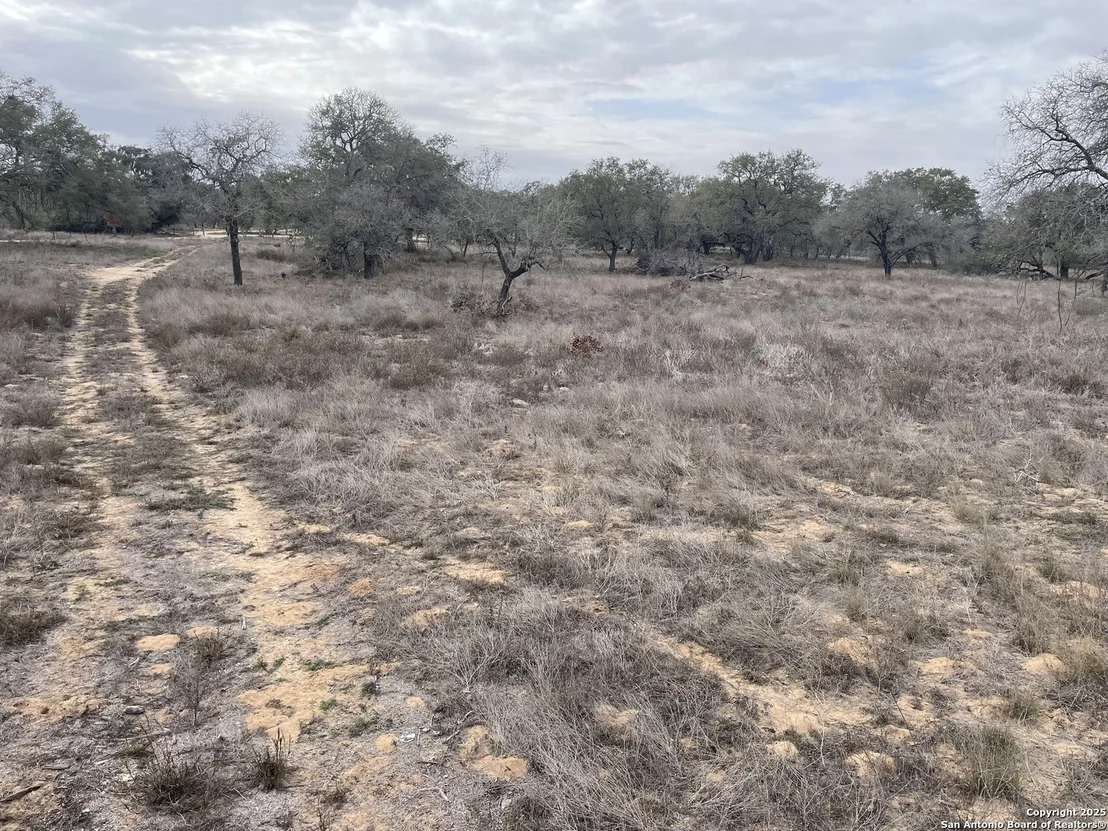 Photo of TRACT 11 COUNTY ROAD 777