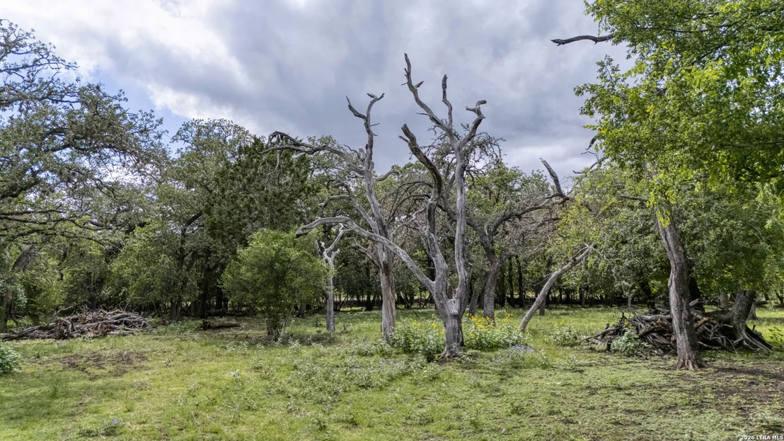 Photo of 340 Rio Oak