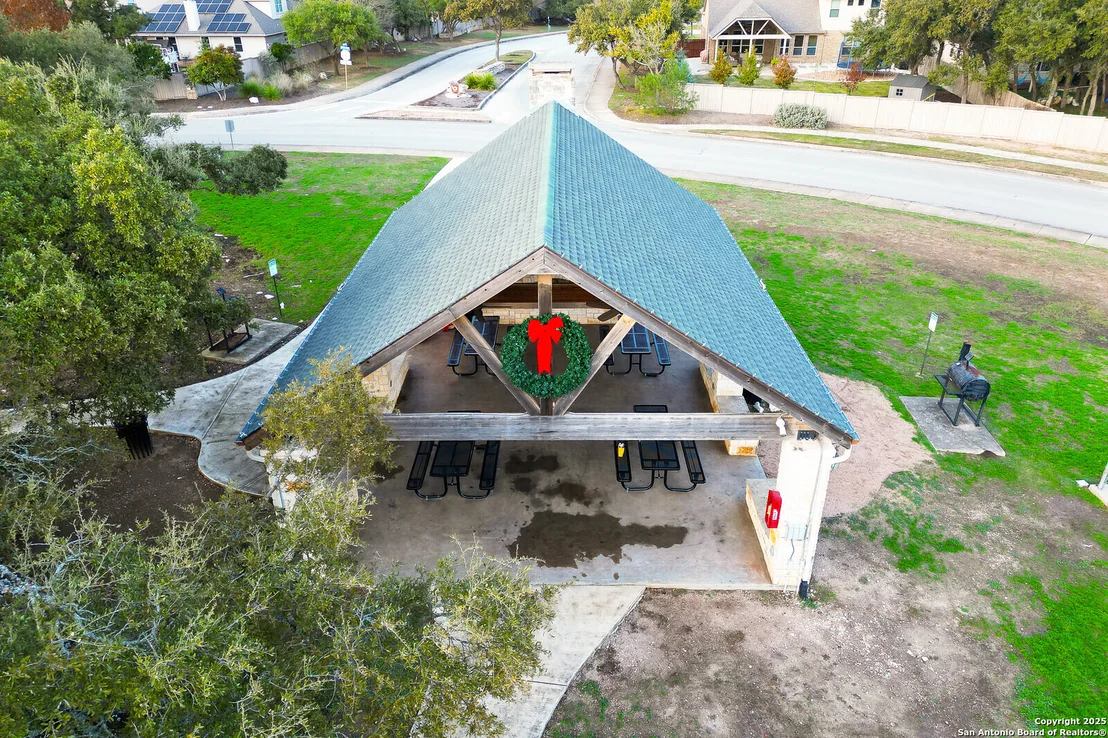 Photo of 25614 Sago Palm
