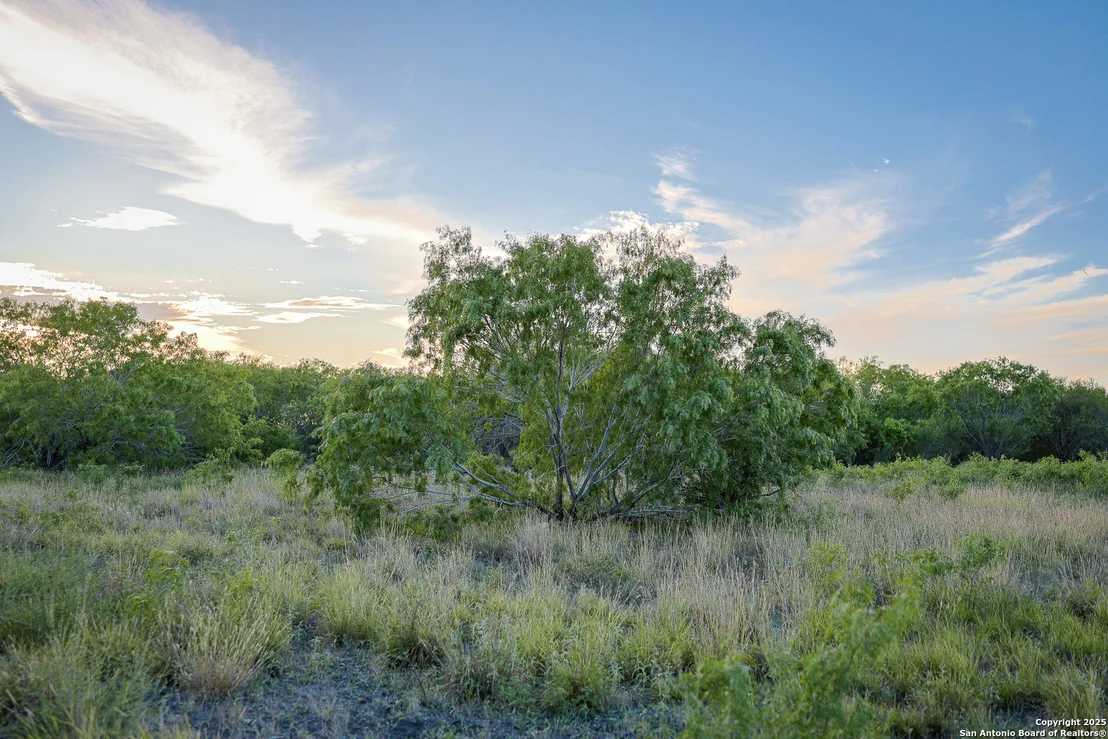 Photo of 6266 Highway 281
