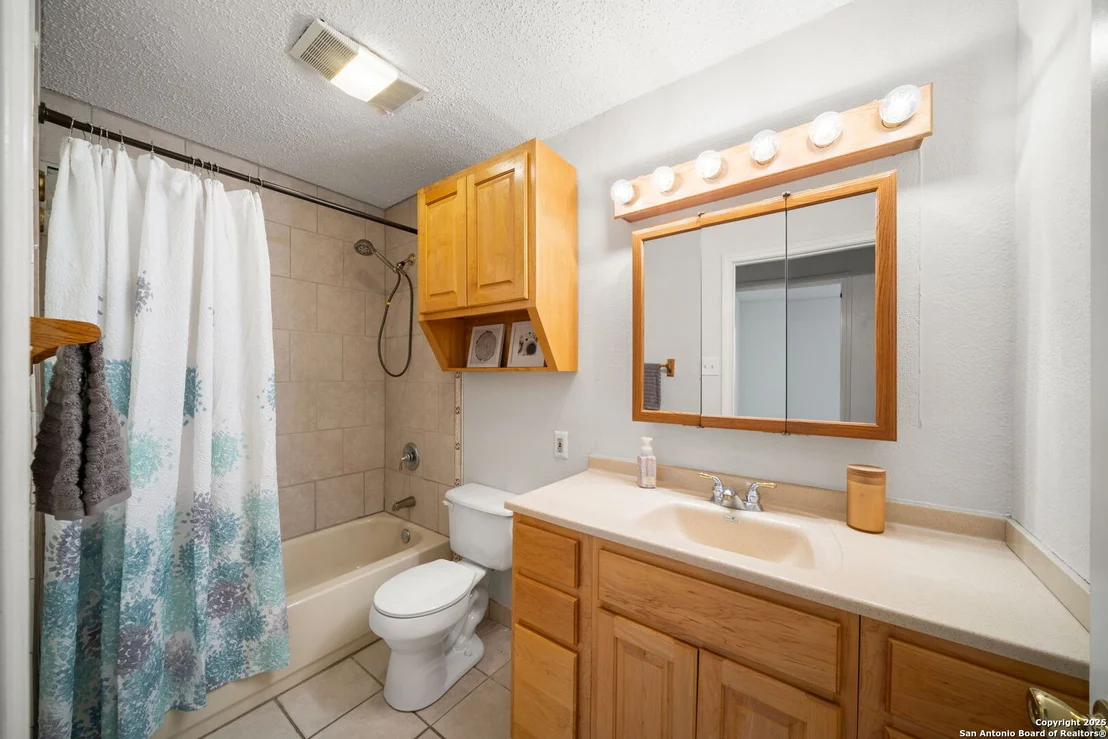 Photo of 1606 forest spring