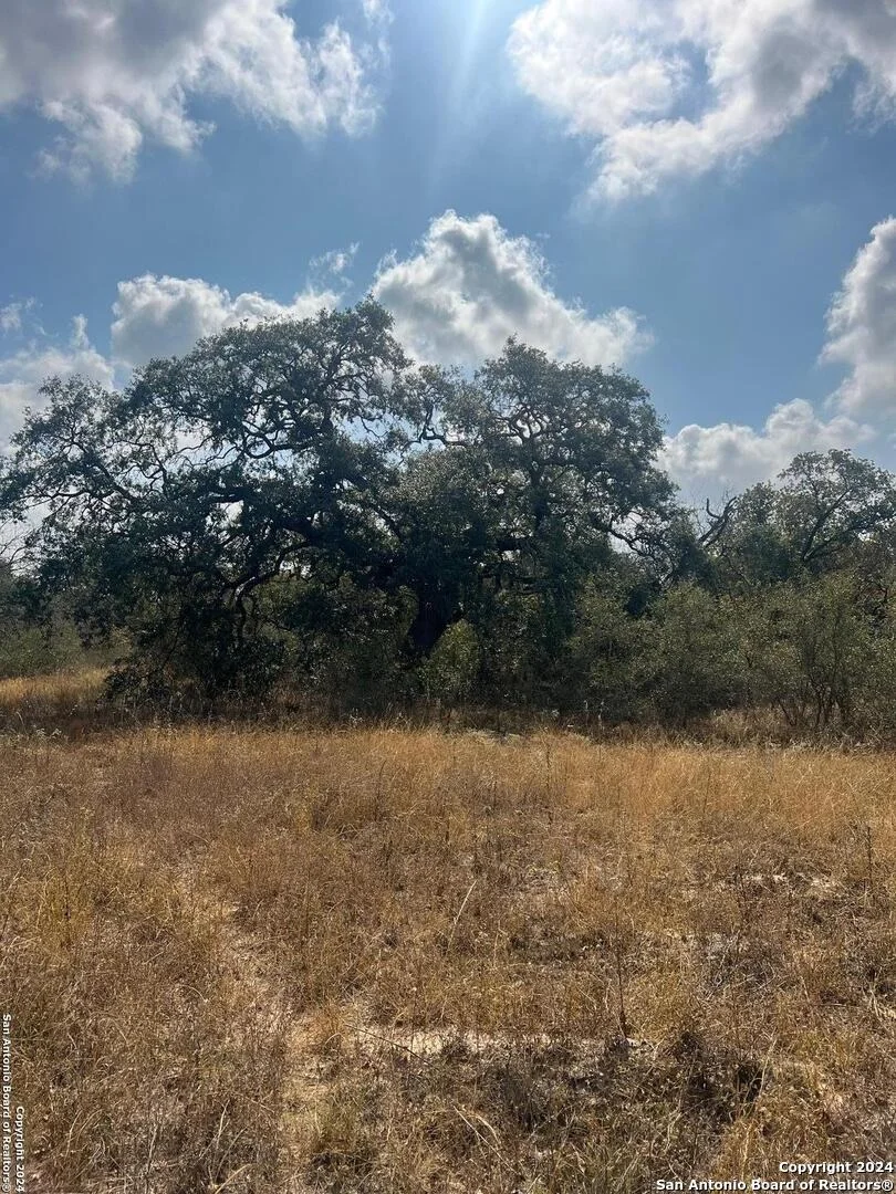 Photo of 1155 Clear lake loop