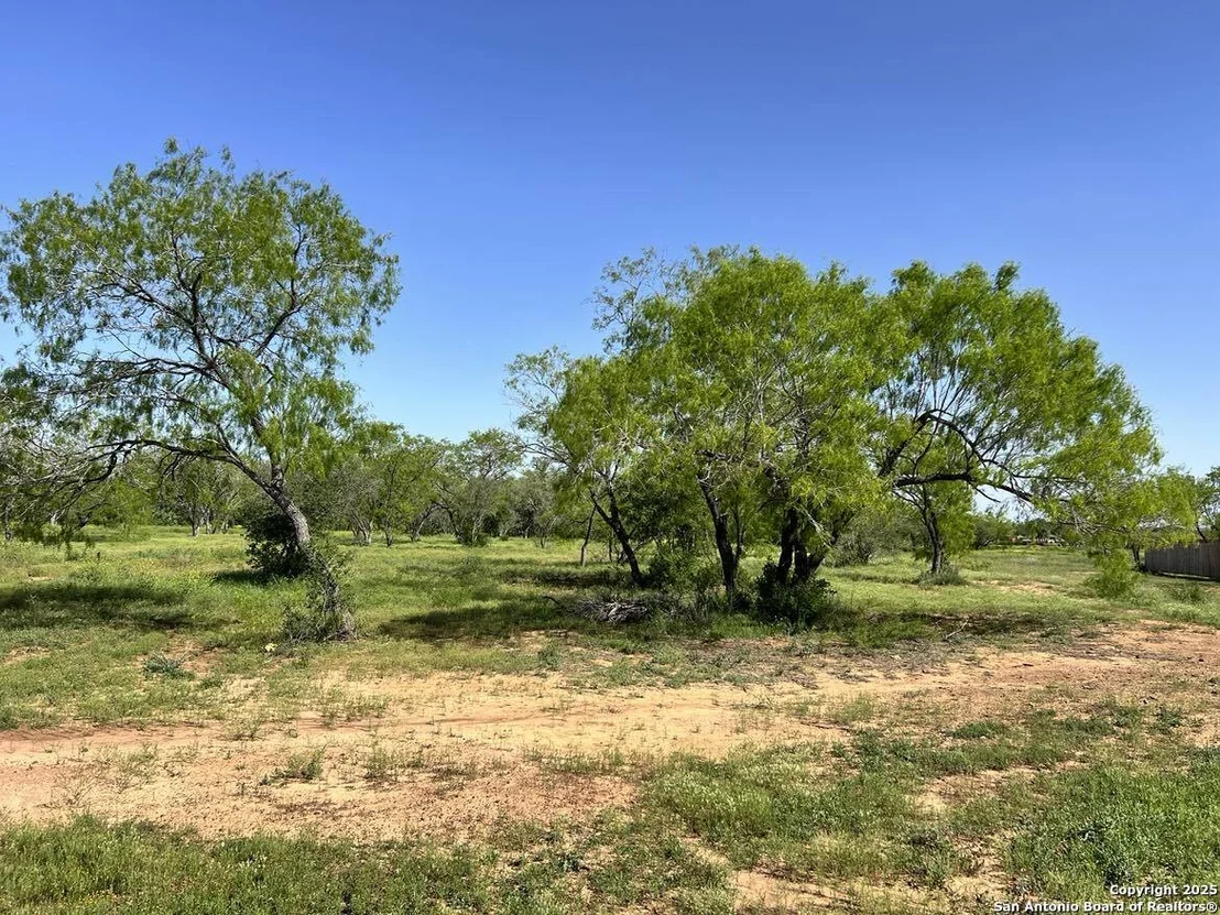 Photo of 188 Medium Meadow