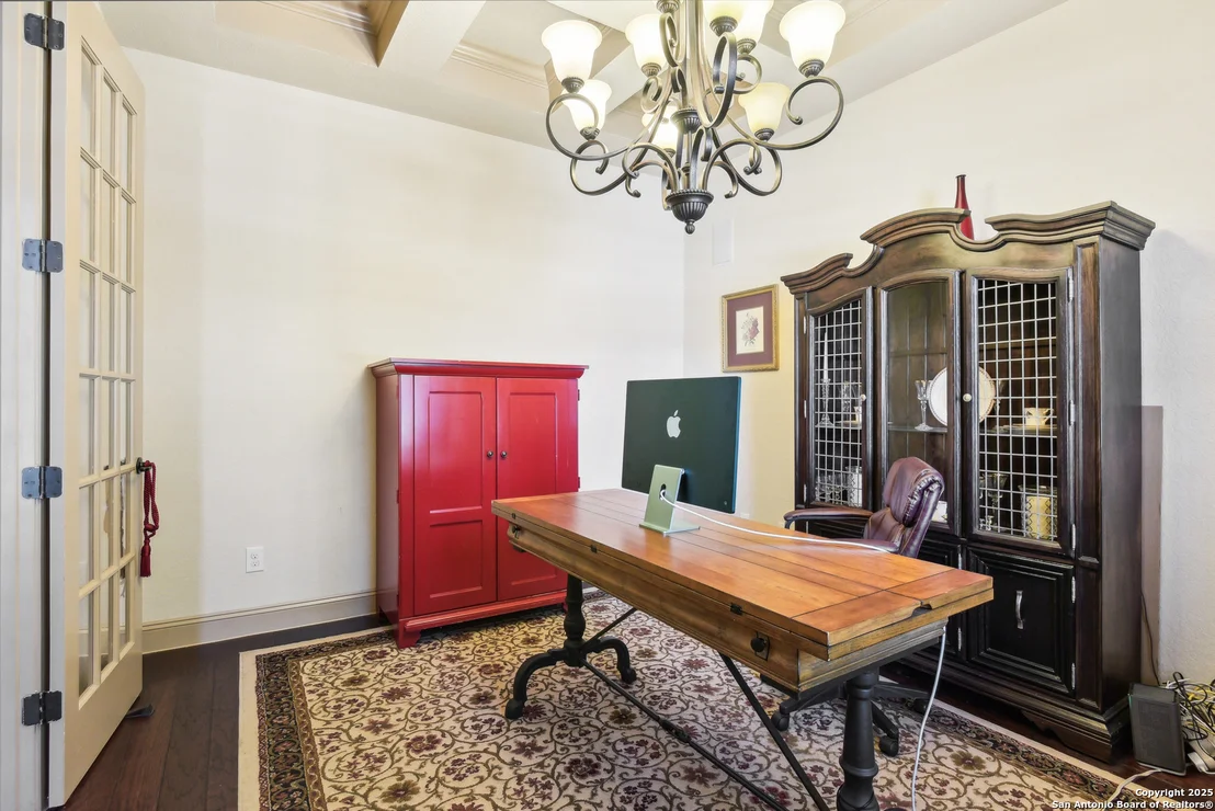 Photo of 25612 Santolina