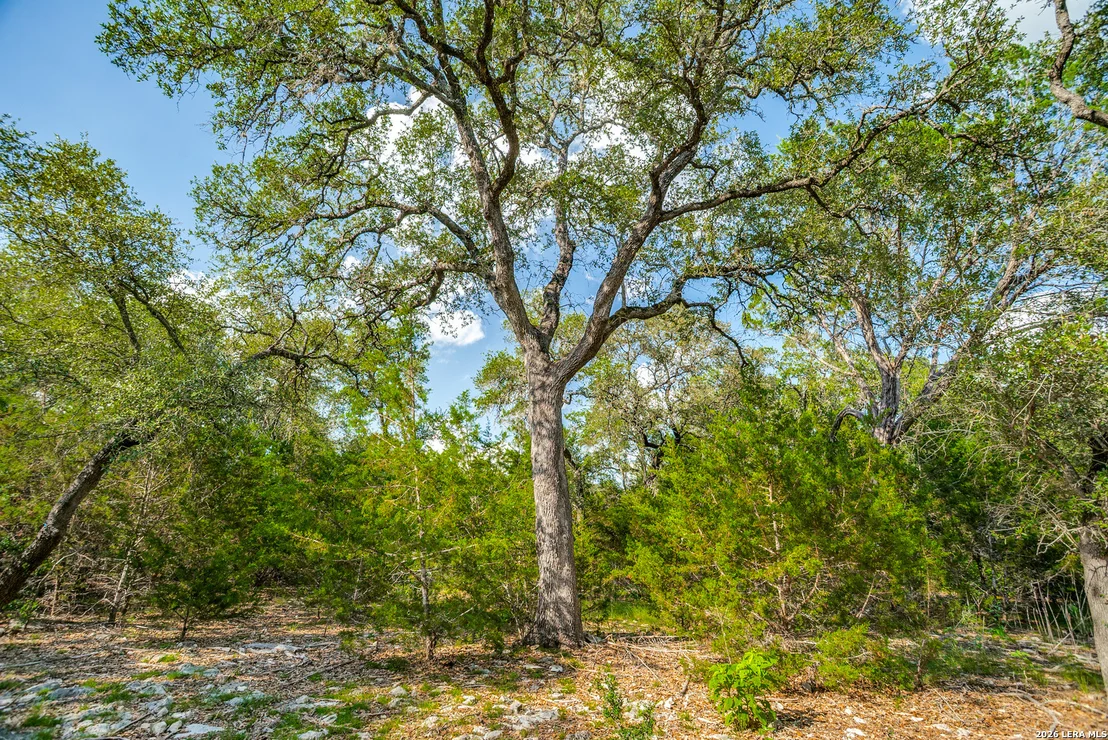 Photo of 104C Riverwood