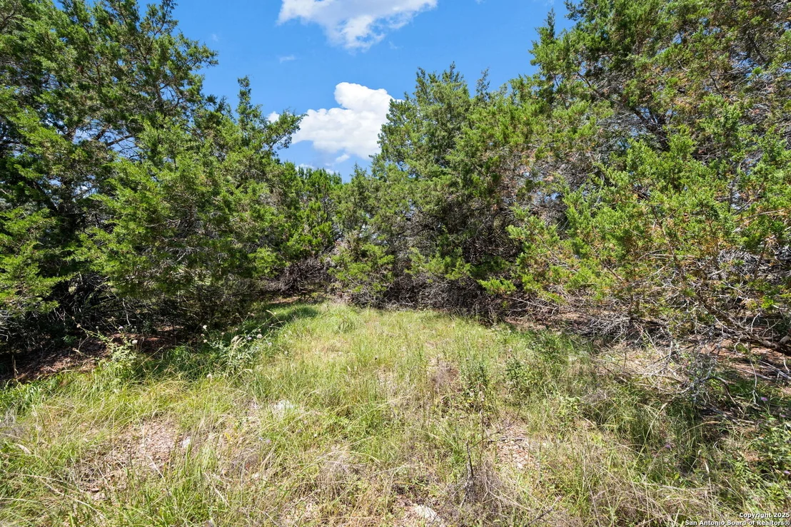 Photo of 5546 Tanglewood
