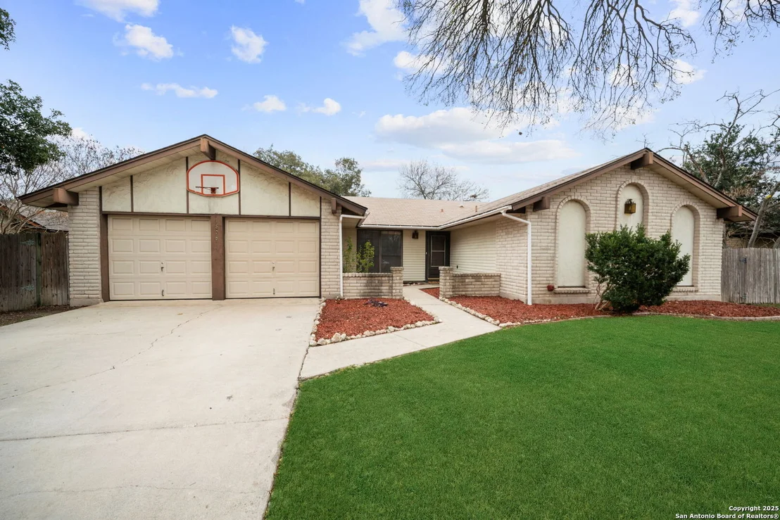Photo of 1606 forest spring