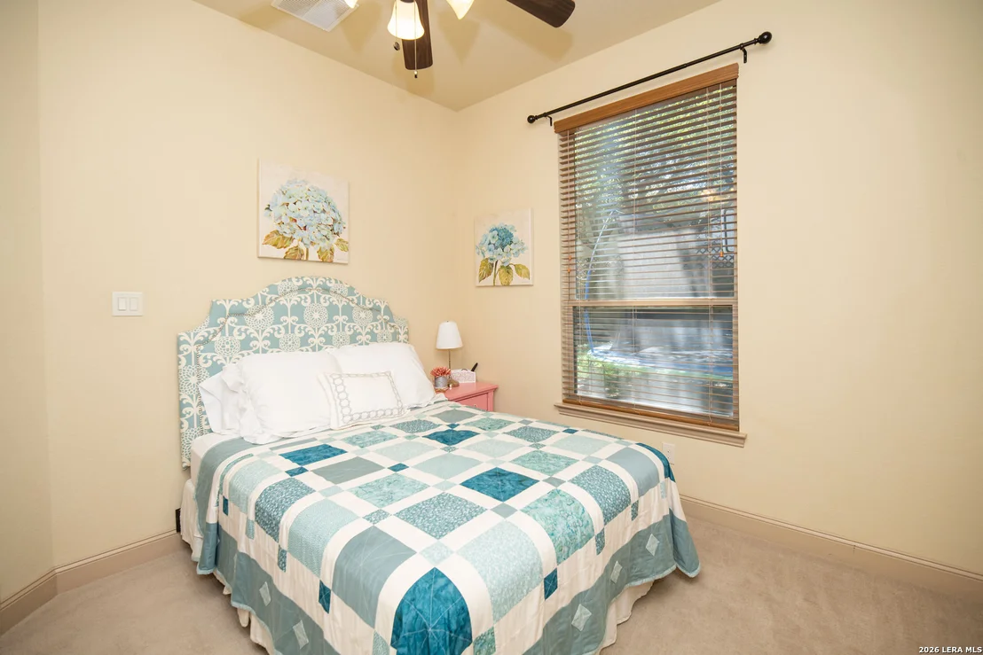 Photo of 25603 Santolina