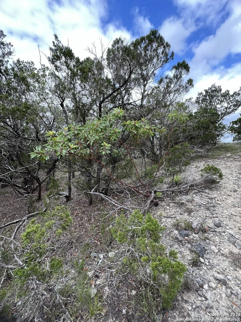 Photo of 103 Sumac Ridge