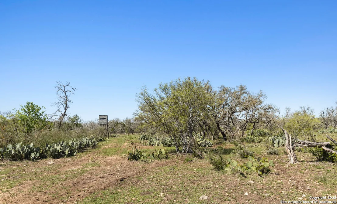 Photo of 1974 PR 3214