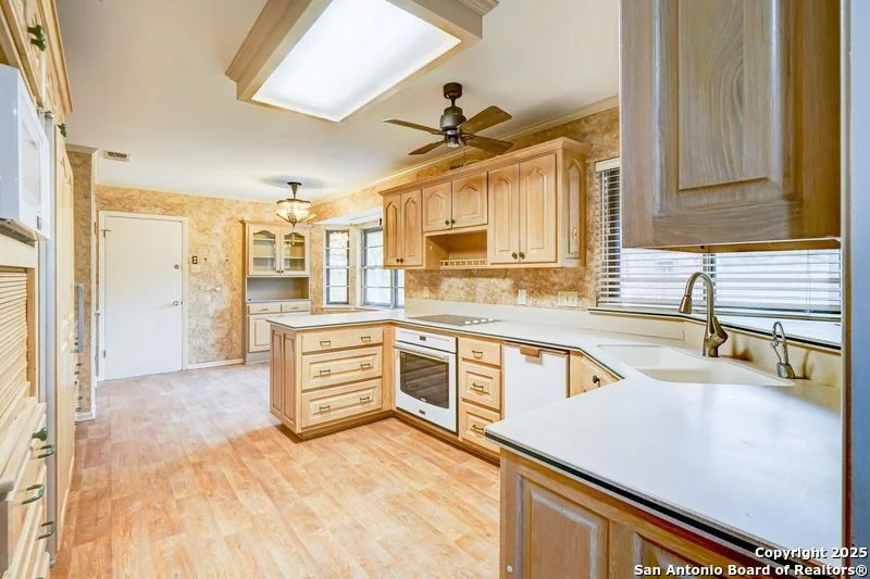 Photo of 501 Balfour