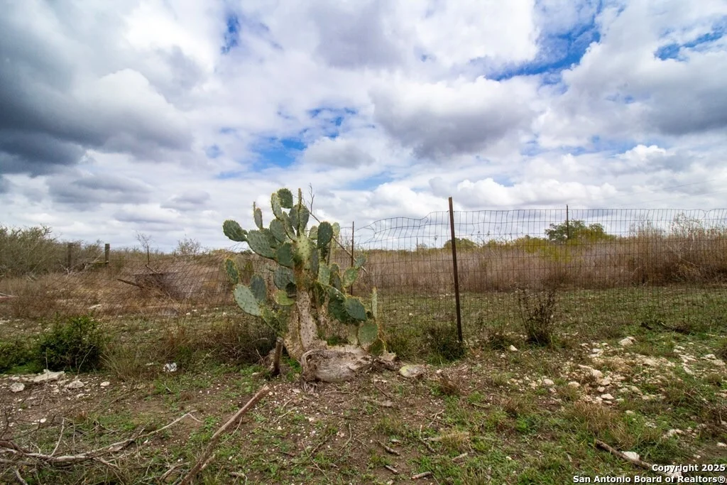 Photo of 5956 Chaparral Trail