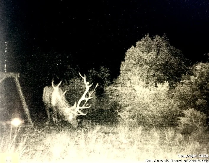 Photo of 1044 SD 52110
