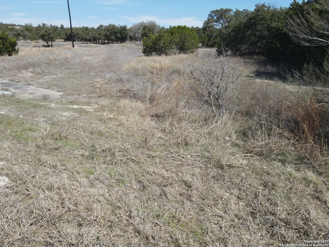 Photo of 111 Dodder