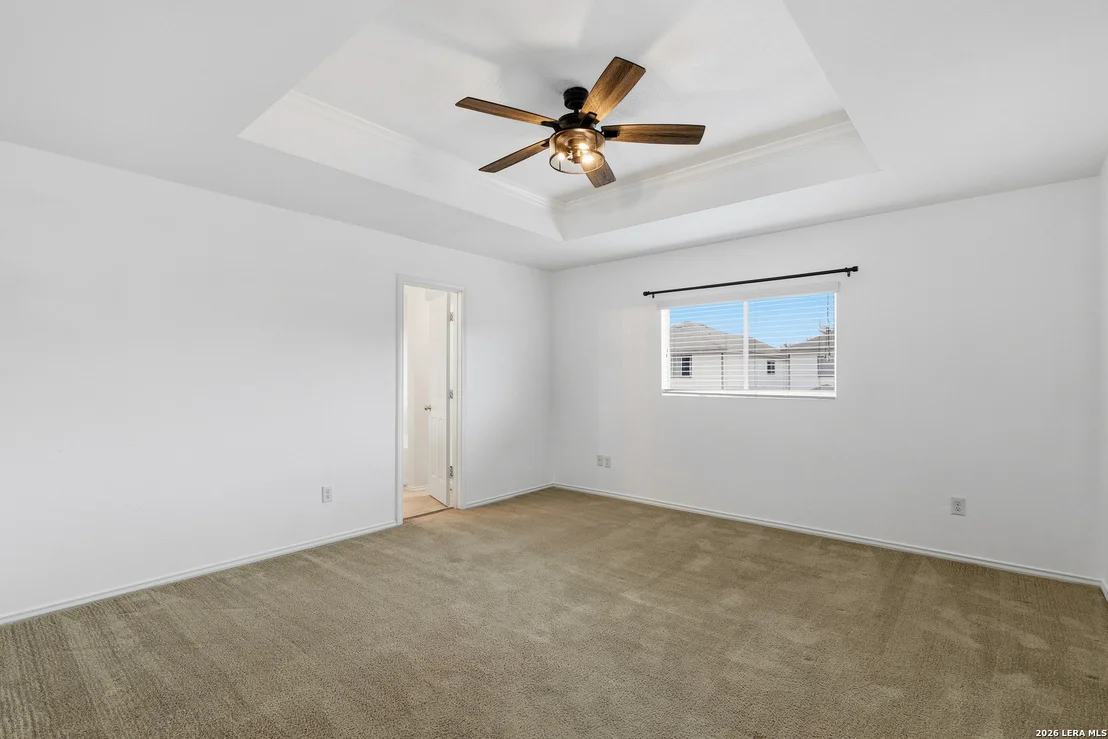 Photo of 154 Prato Palma