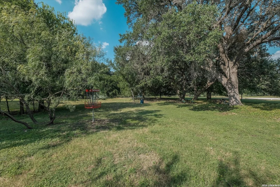 Photo of 802 Celosia