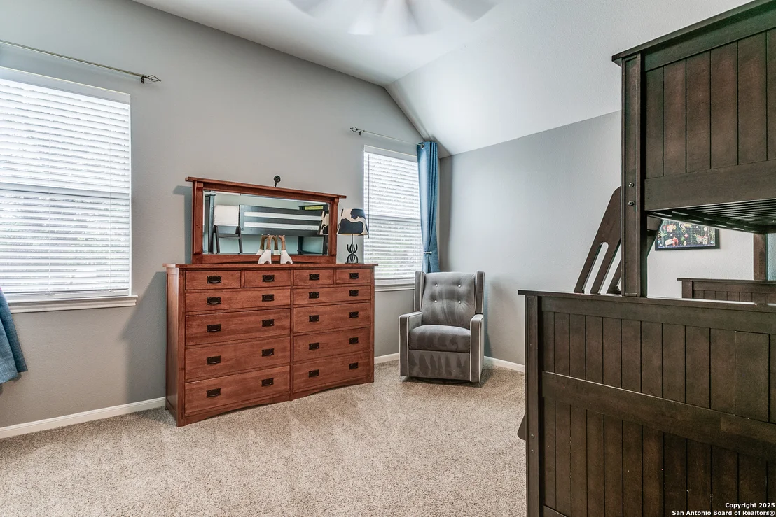 Photo of 1 Cressida